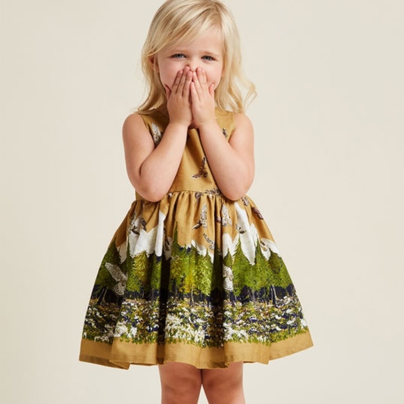 Modcloth Other - Palava Modcloth Mountain Dress